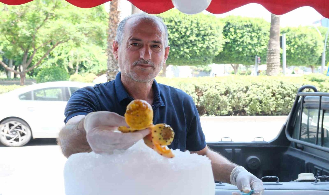 Adana’da vatandaşlar dikenli incir yiyerek serinliyor