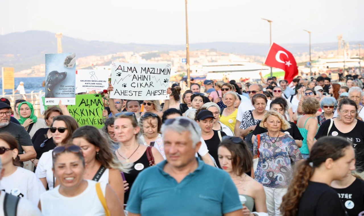 Sahipsiz hayvanlar için sesler Mudanya’dan yükseldi