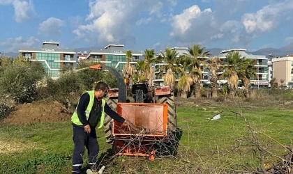 Budanan ağaçlar ihtiyaç sahiplerine yakacak oluyor